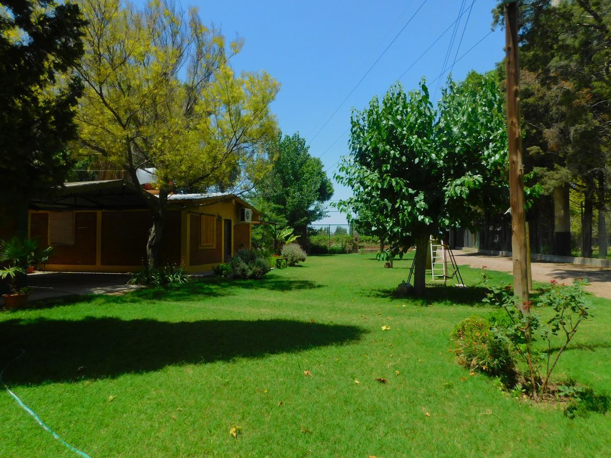 Mirmar